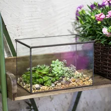 Rectangle Clear Glass Geometric Terrarium Box Tabletop Succulent Fern Moss Plant Micro Landscape Terrarium Bonsai Flower Pot