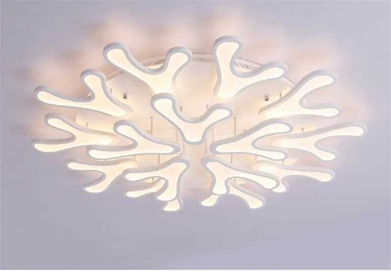 Post modern ceiling lamp (17)