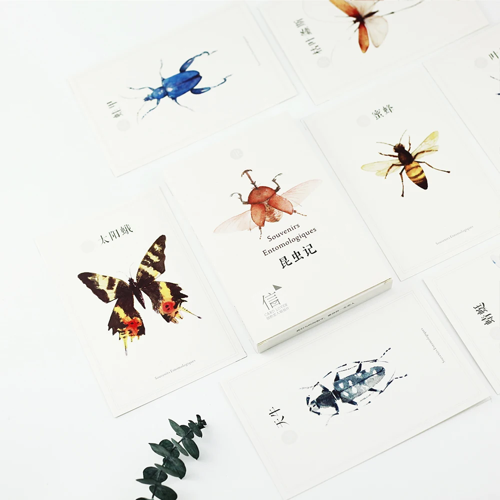 

30 Sheets/Set Insect Nature Hand Painted Postcard /Greeting Card/Wish Card/Christmas and New Year gifts