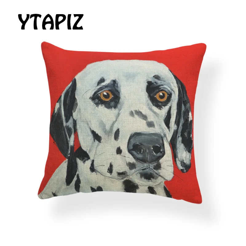 AB9166 (7) spotty dog