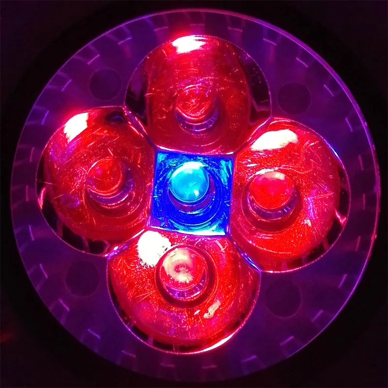 Светодио дный 10 Вт растет свет 4 красный и 1 синий, Seiko алюминий, полный спектр Гидропонные светильники для теплица для выращивания овощей