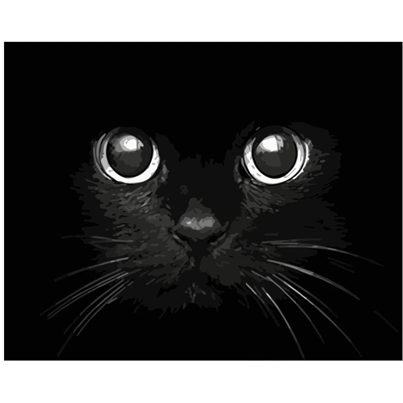 Blackcat evil terrifying Animal DIY цифровая картина маслом цифры Современная Настенная живопись холст уникальный подарок на день рождения Домашний декор