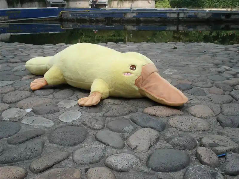 yellow platypus stuffed animal