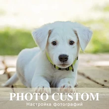 SaShiKo милые животные фото на заказ Алмазная картина Полная площадь изображение горного хрусталя DIY Алмазная мозаика Алмазная вышивка распродажа