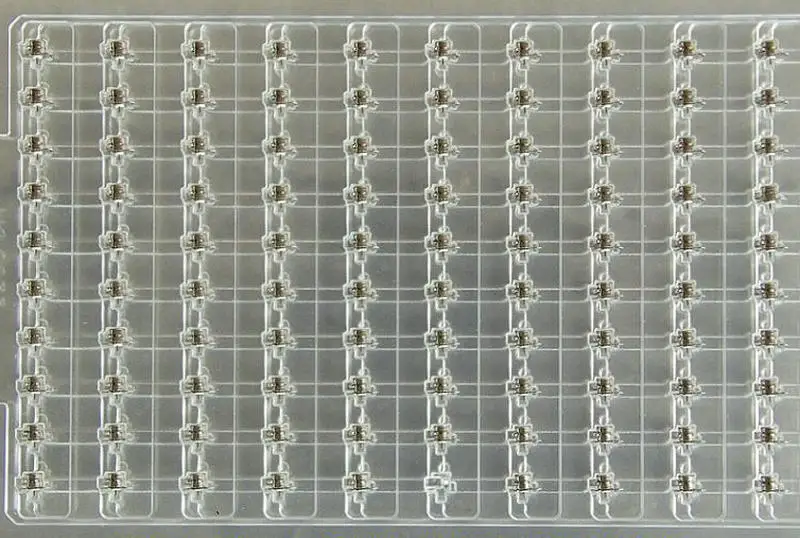 WS0506-08