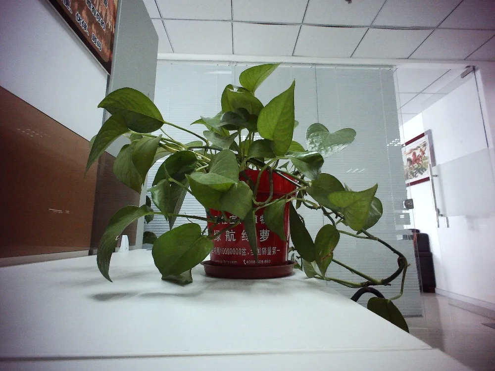 USB camera 8MP