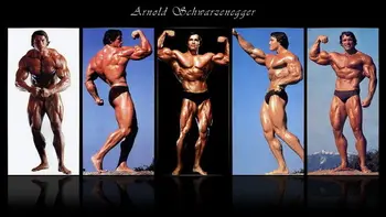 

04 Arnold Schwarzenegger - Bodybuilder Mr Olympia Universe 25"x14" Poster