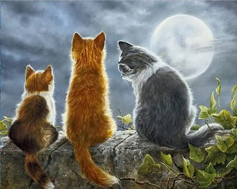 Коты в мегаполисе. Счастливая кошка. Несколько котов. Котики про миром. Котики про миром.