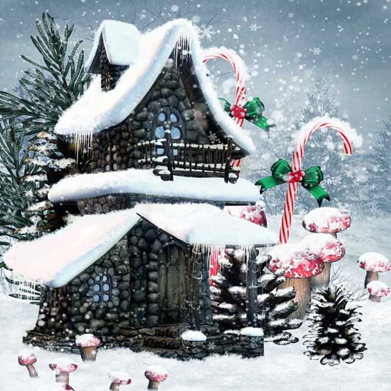 

10x10ft free shipping Christmas backdrops Customized computer Printed vinyl photography background for photo studio st-200