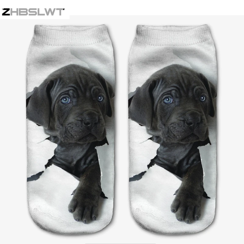 

ZHBSLWT New 3D Printed Labrador Puppy Women Socks Cute Low Cut Ankle Sock Multiple Colors Fashion Style-13