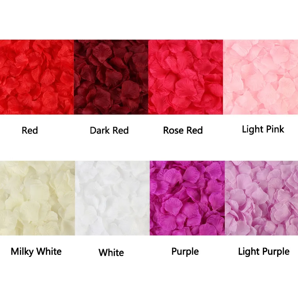 298244_no-logo_298244-1-02