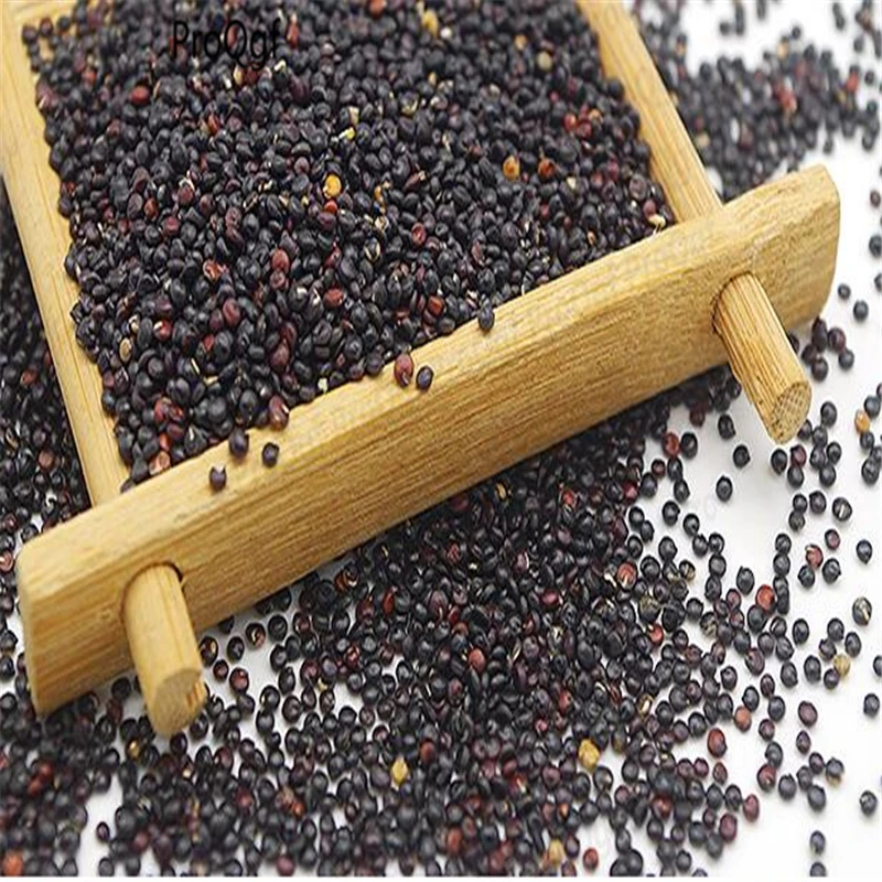 8000 шт набор qinghai белый Chenopodium quinoa