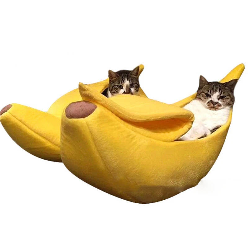 Можно ли кошкам банан