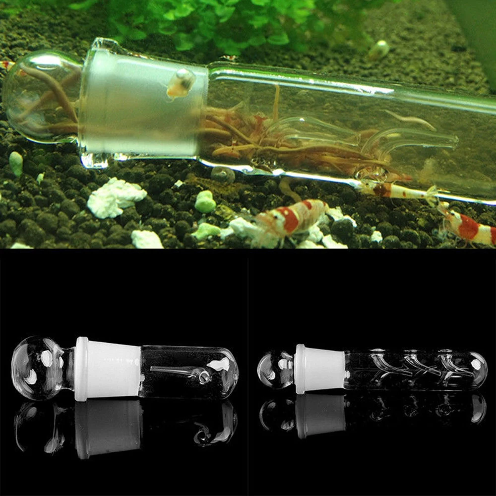 Aquarium Pest Trap Shrimp Leeches Worm Leech Planaria Catch Catcher