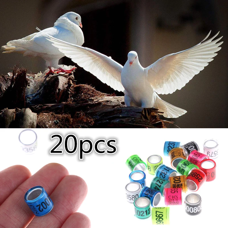 

20Pcs/pack Digital Bird Foot Ring Bird Parrot Pigeon Leg Rings Supplies Accessories Bird Training Tool
