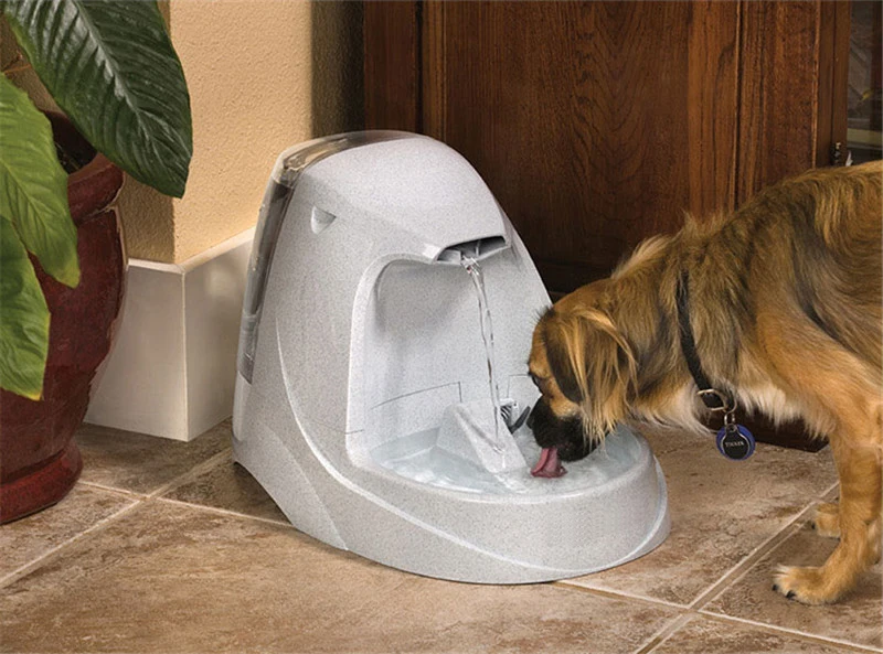 Pet Fountain09