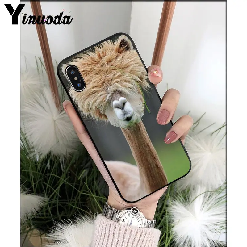 Yinuoda лама Alpacas животное умный чехол черный мягкий чехол для телефона для iPhone X XS MAX 6 6S 7 7plus 8 8Plus 5 5S XR