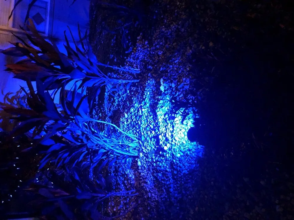 Água ao ar Ip65 à Prova T-sunrise Pacote Solar Powered Jardim Holofotes Super Brilhante Dwaterproof Livre Led Luz Azul Cor 2 8 Lâmpadas solares