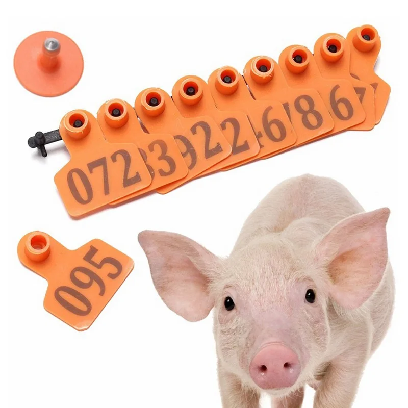 Export Laser Word Pig Ear Tag Pig Identification Pumber Pig Ear Number