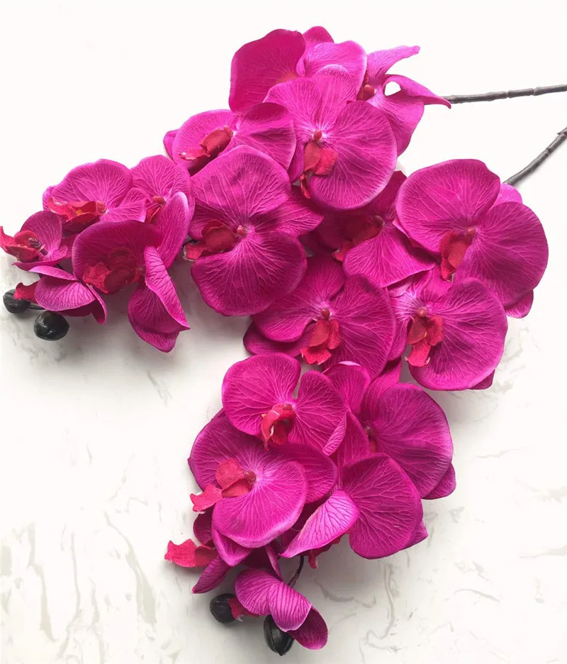 pçs seda preto traça orquídeas phalaenopsis borboleta orquídea flor tamanho grande cabeças para flores artificiais decorativas do casamento