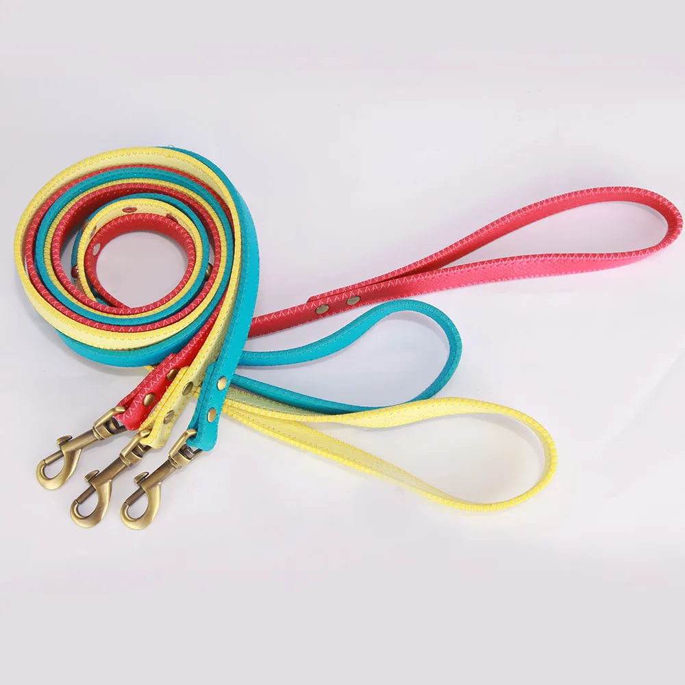dog leash 3