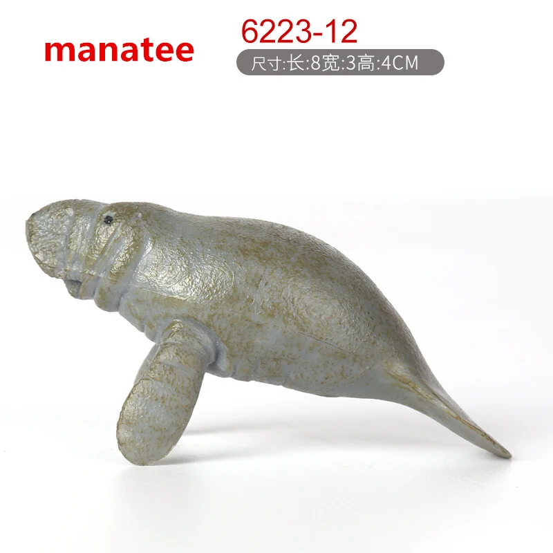 4455995398_1085278937