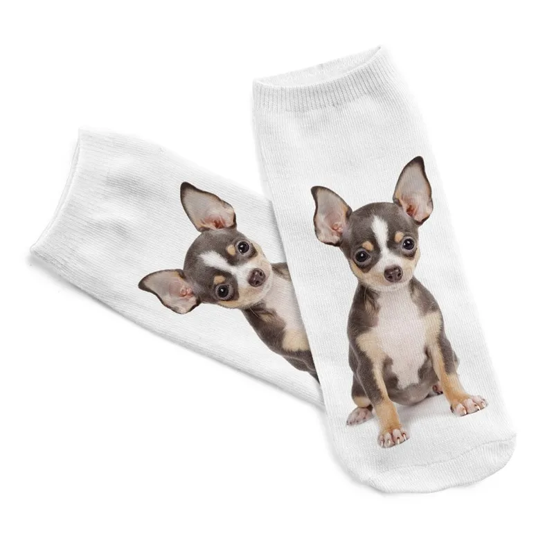 967f79209831c2ac53be2bdbaa0b13352c0286466d2ab35452e0cdfc96