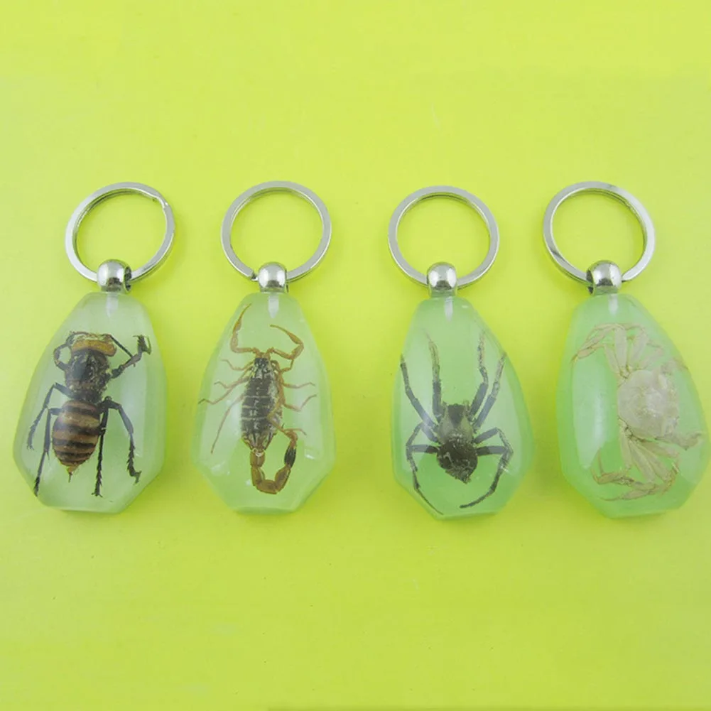 

Scorpion Glow Lucite Keychain Insect Jewelry Taxidermy Gift Random Drop shipping mixed beetle insect scorpion spider Keyring