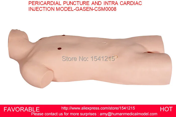 PERICARDIAL PUNCTURE INTRACARDIAC INJECTION TRAINING MANIKIN,PERICARDIAL PUNCTURE INTRA CARDIAC INJECTION MODEL-GASEN-CSM0008 PERICARDIAL PUNCTURE INTRACARDIAC INJECTION TRAINING MANIKIN,PERICARDIAL PUNCTURE INTRA CARDIAC INJECTION MODEL-GASEN-CSM0008