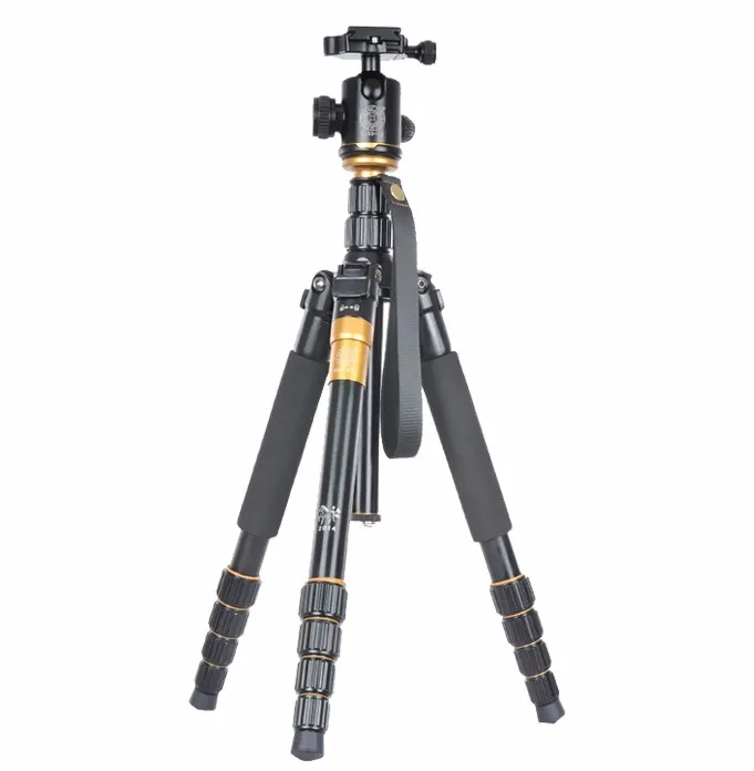 QZSD-Q666-4