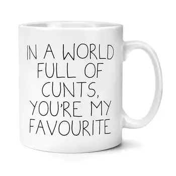 

In A World Full of Cunts You're My Favourite Mug Profanity Mugs Funny Gift