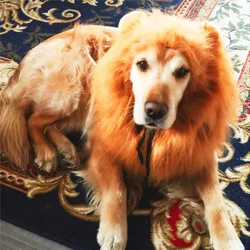 

Plush Large Dog Products Furry Pet Costume Lion Mane Wig For Cat Halloween False Hair Dressed Lions Pets Accessories For Dogs