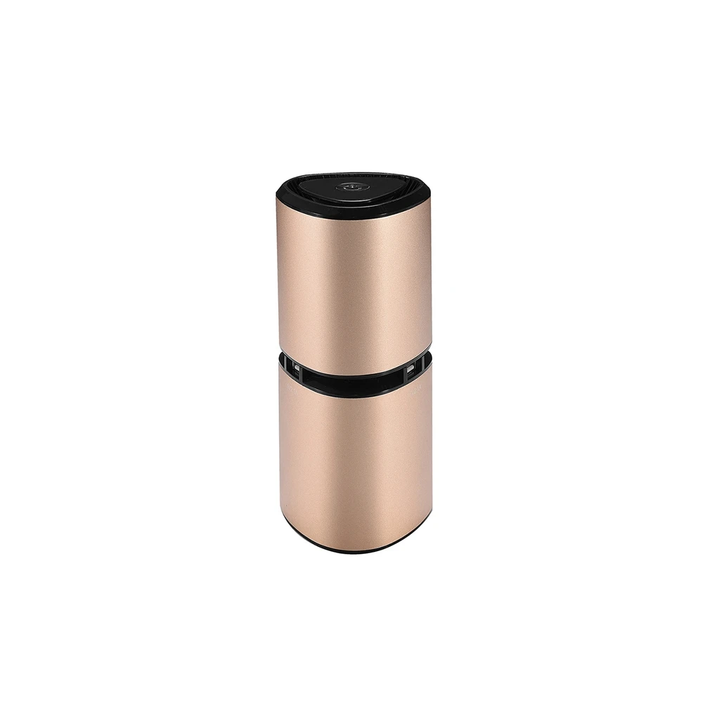 Car Air Purifiers (10)