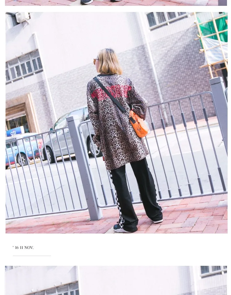 Harajuku Зебра полосы письмо вышивка кофты женский леопардовый принт Весна Осень Мода свободный уличный стиль Топ JQ305
