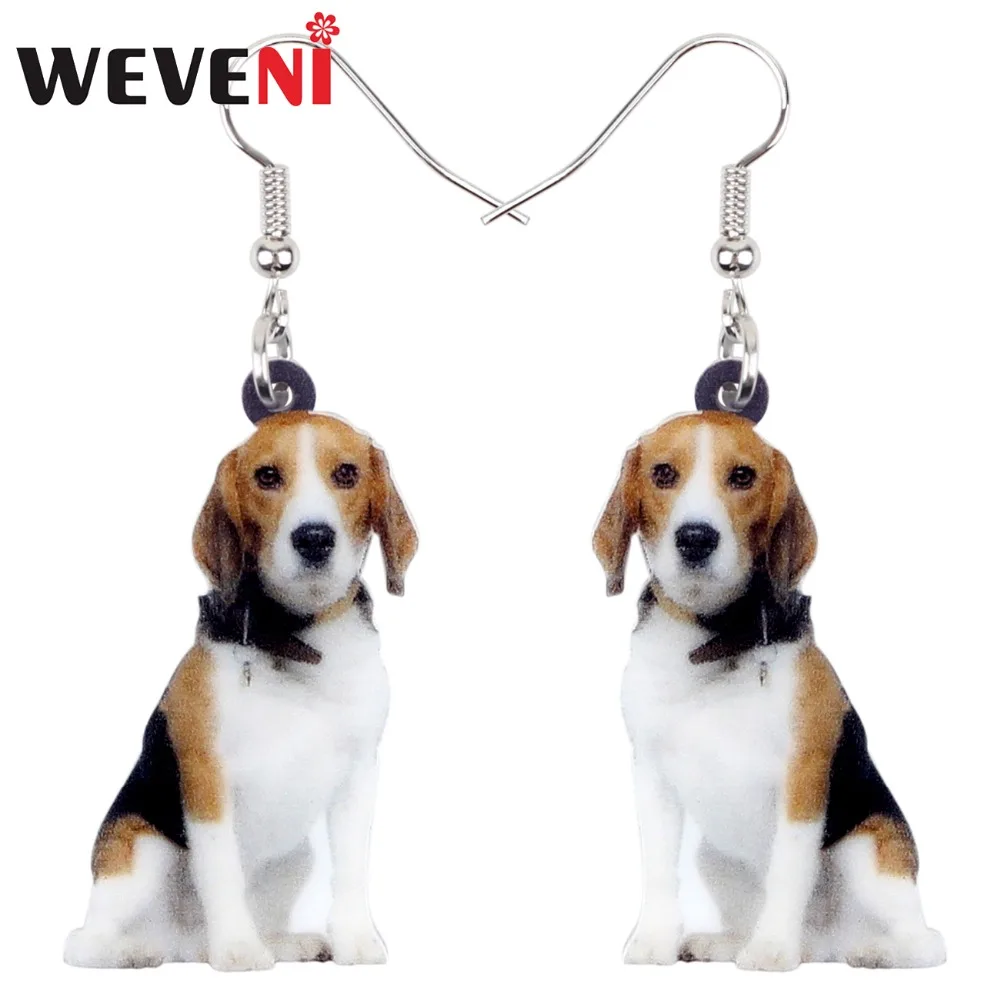 beagle accessories