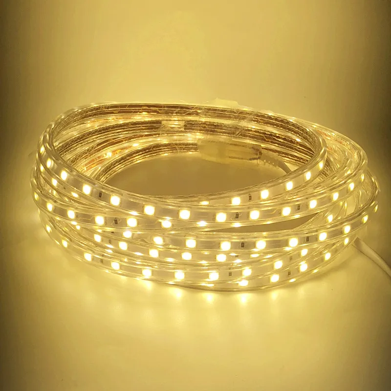 LED Strip Light AC 220V SMD 5050 Flexible Waterproof LED Tape 60LEDs/m Ribbon for Living Room 1M/2M/3M/4M/5M/6M/7M/8M/10M/15M20M