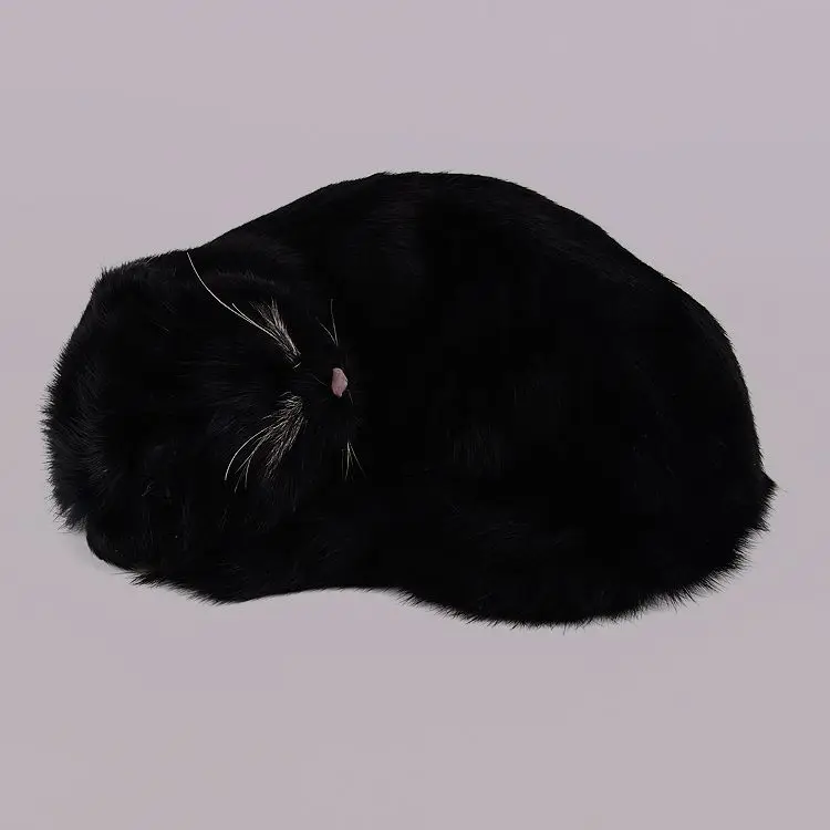 creative simulation black sleeping cat lifelike new cat model gift 25x20x11cm new simulation cat sleeping cat lifelike white cat model gift about 19x8x14cm