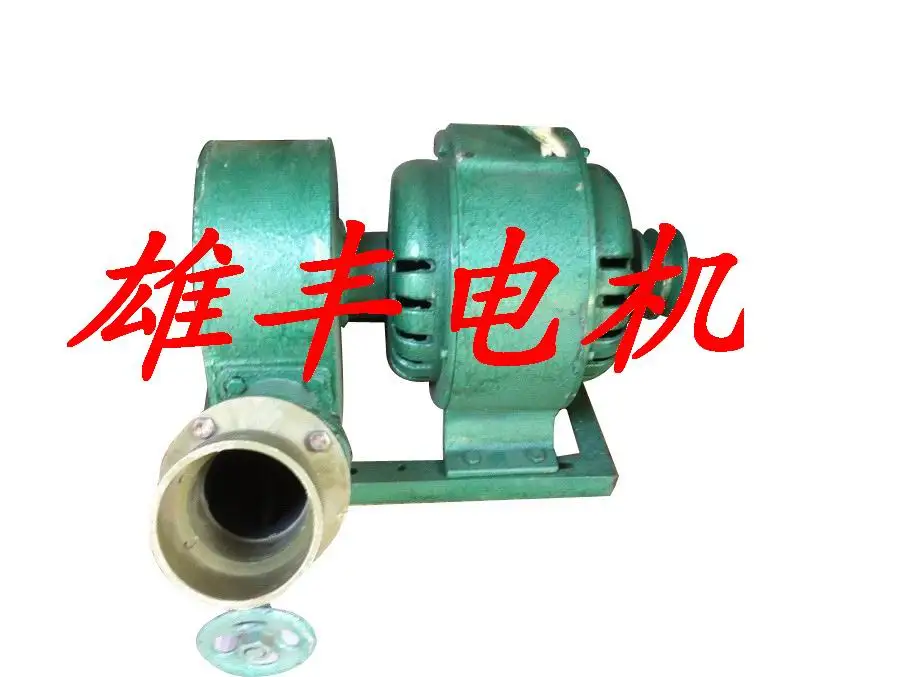 

Impact type 1500w horizontal dual-purpose permanent magnet water turbine generator set 1.5kw impact hydroelectric generating set