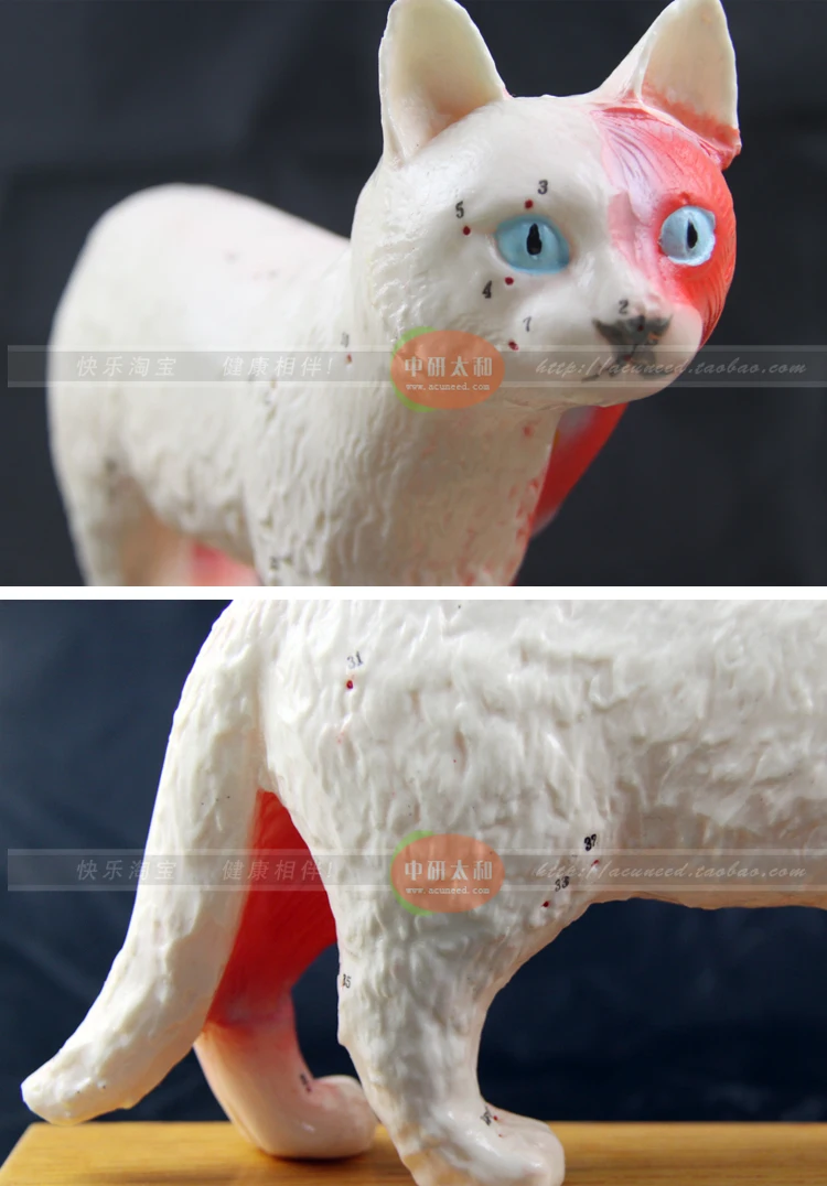 //img.alicdn.com/imgextra/i4/462239809/TB2q2N4gpXXXXXeXpXXXXXXXXXX_!!462239809.jpg
