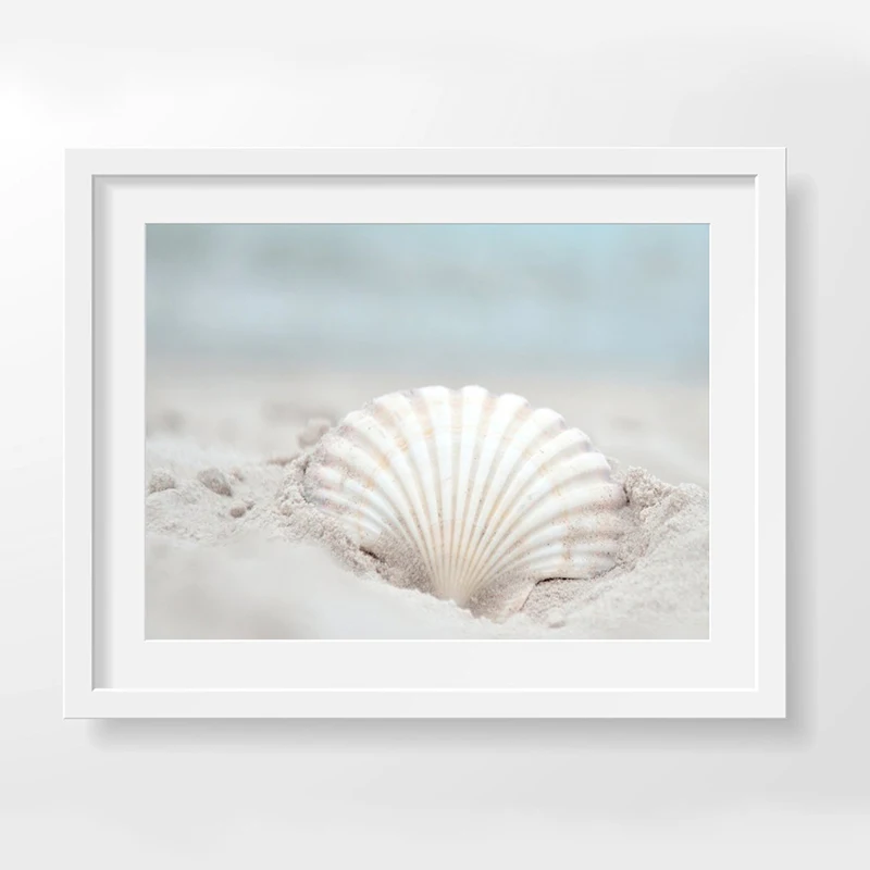 Seashell Photography Canvas Art Picture Home Decor