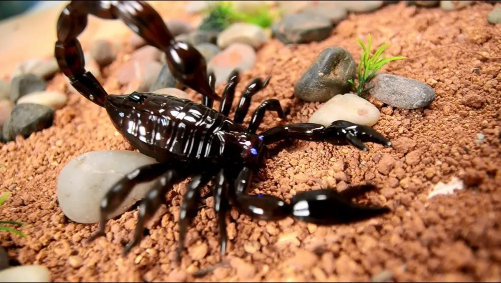[Забавный] трюк электронный питомец RC симулятор скорпиона Роботизированный насекомое шалость игрушка Жук пульт дистанционного управления умные животные приколы