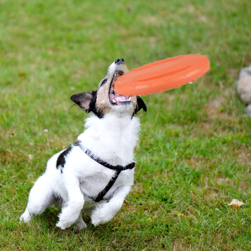 التفاعلية التدريب العائمة في الهواء الطلق صديقة للبيئة إيفا الكلب لعب الحيوانات الأليفة الأسنان مقاومة جلب تدريب تحلق القرص اللعب لعبة