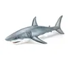 1/12 Scale Great 58cm White Shark Figure Dinosaurs Model Art Standard Ver EDAGE 1