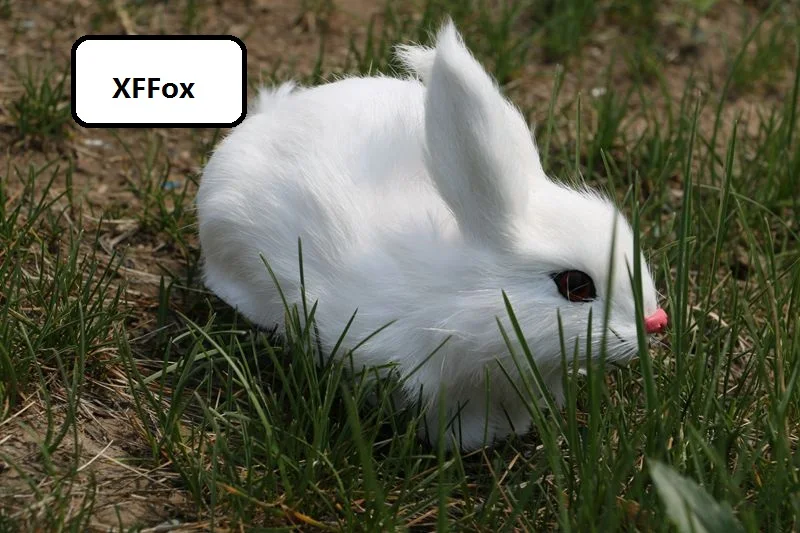 HTB1lqCILpXXXXXAaXXXq6xXFXXXz