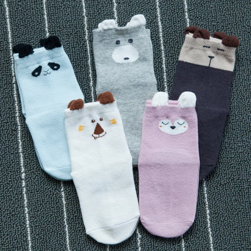 3685963551_370537472