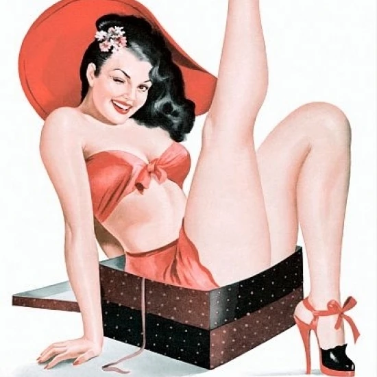 Pin Up Brunette In A Box Pinup Poster Print (18 x 24)
