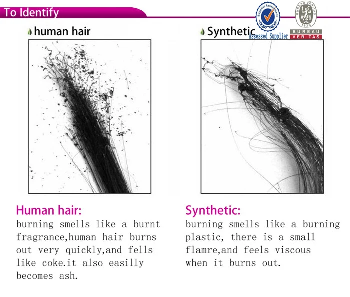 identify human hair.jpg