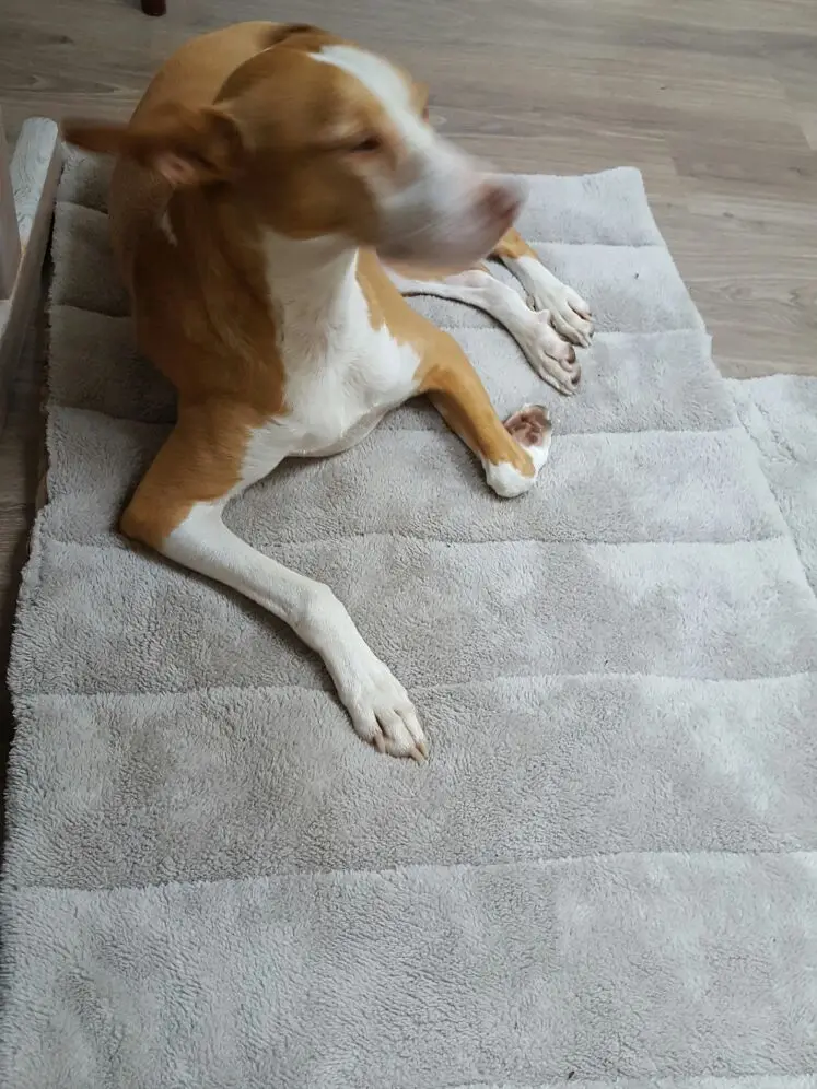 UT8NvkFXIXXXXagOFbXu