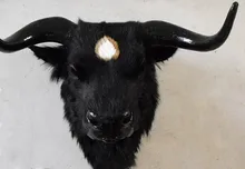 new creative simulation yak head toy resin&fur handicraft yak head pendant gift about 56*38*50cm