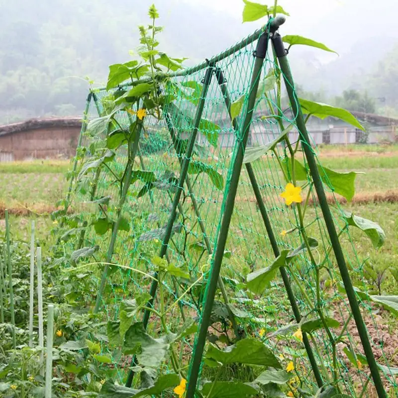 5x1.8m/2.7m Garden Vegetable Green Nylon Net Flowers Garden Vegetable Melon Climbing Grow Fence Climbing Plant Growth Mesh Scale